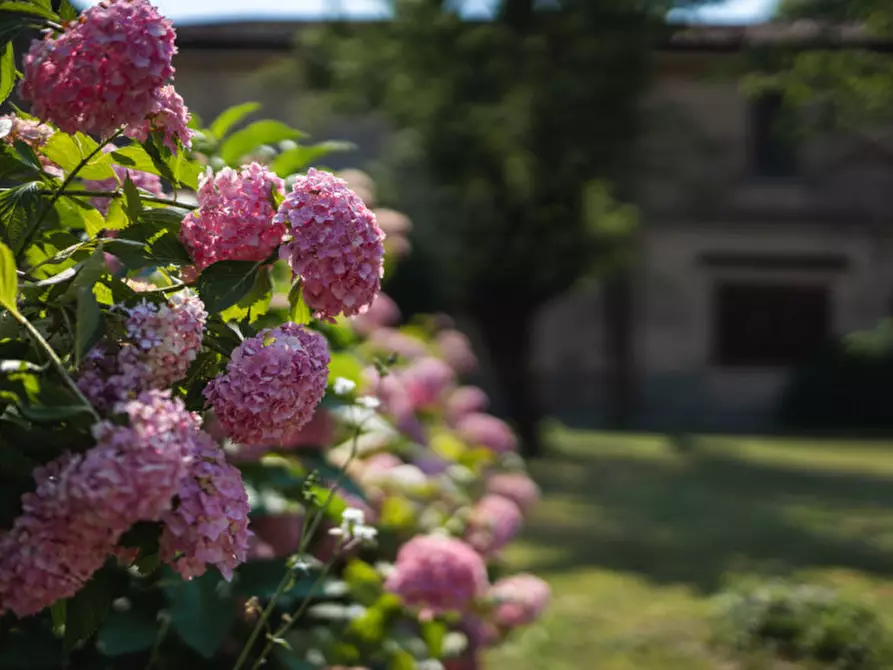Immagine 22 di Villa in vendita  in Via Quattro Novembre a San Gervasio Bresciano
