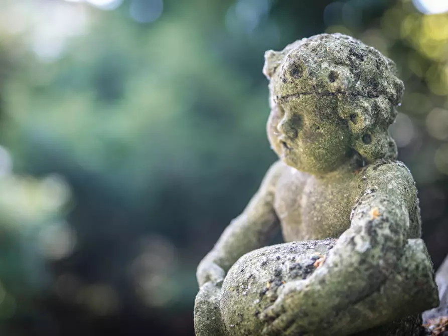 Immagine 25 di Villa in vendita  in Via Quattro Novembre a San Gervasio Bresciano