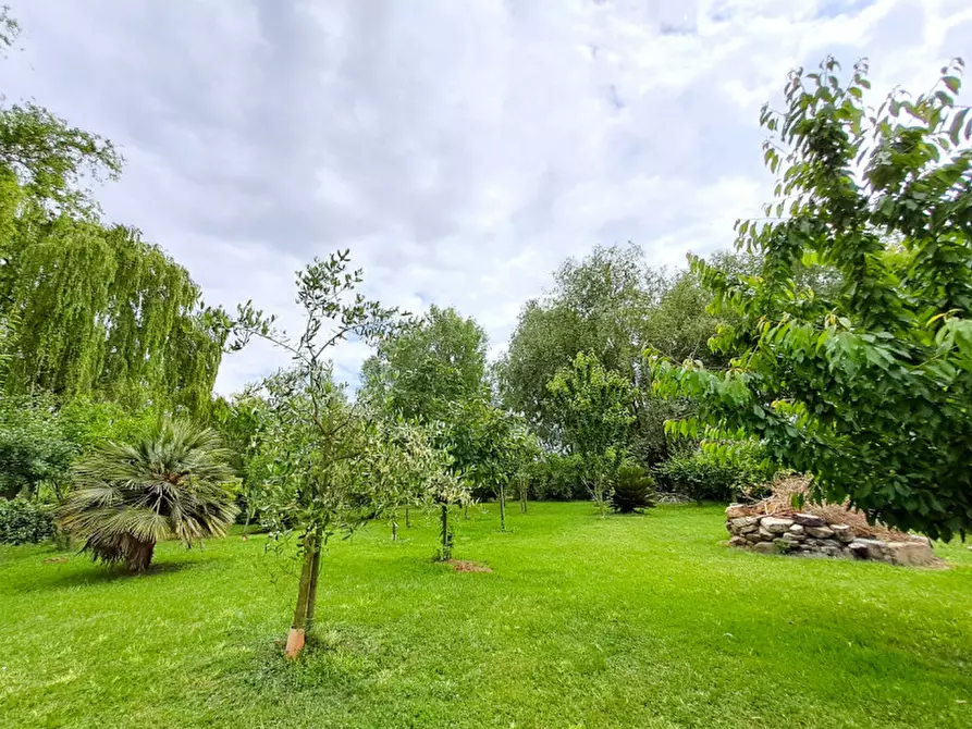 Immagine 2 di Terreno in vendita  a Passignano Sul Trasimeno