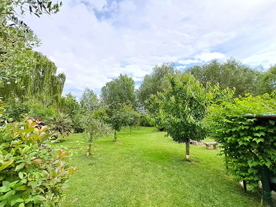 Immagine 3 di Terreno in vendita  a Passignano Sul Trasimeno