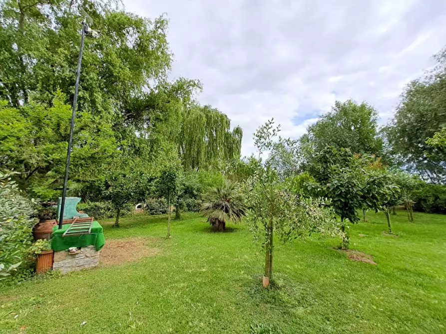 Immagine 5 di Terreno in vendita  a Passignano Sul Trasimeno