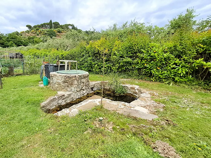Immagine 6 di Terreno in vendita  a Passignano Sul Trasimeno