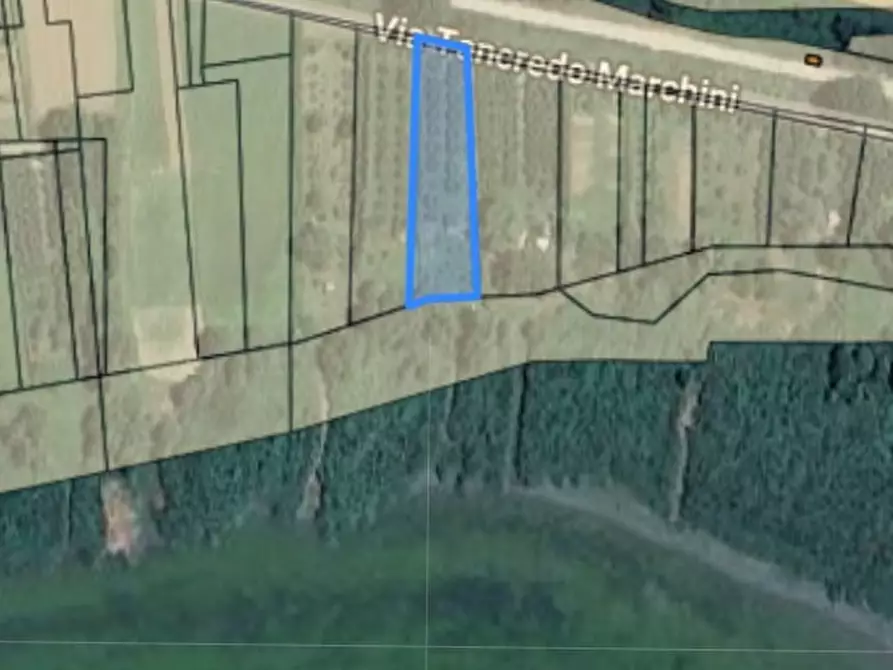 Immagine 14 di Terreno in vendita  a Passignano Sul Trasimeno