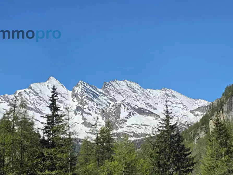 Immagine 26 di Villa in vendita  in Borgata Broc a Ceresole Reale