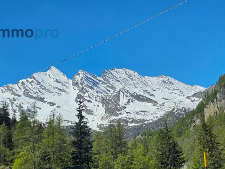 Immagine 36 di Villa in vendita  in Borgata Broc a Ceresole Reale