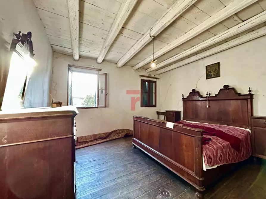 Immagine 11 di Rustico / casale in vendita  in Via Roma 115 a San Giorgio Delle Pertiche