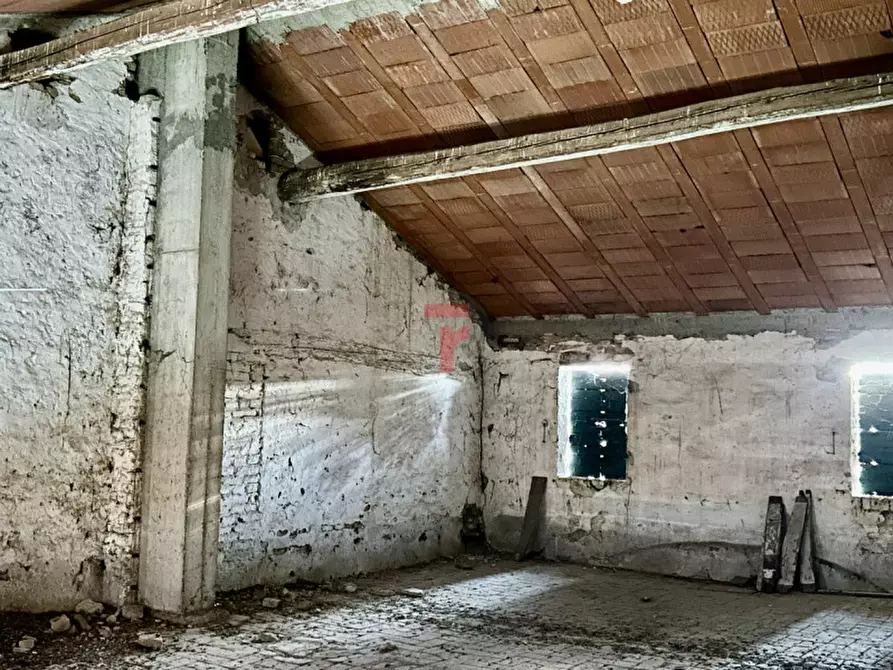 Immagine 23 di Rustico / casale in vendita  in Via Roma 115 a San Giorgio Delle Pertiche