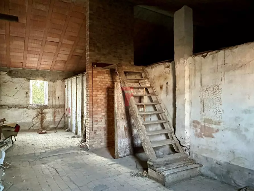 Immagine 24 di Rustico / casale in vendita  in Via Roma 115 a San Giorgio Delle Pertiche