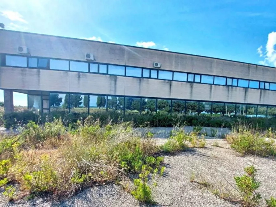 Immagine 2 di Capannone industriale in vendita  in Via Tarquinia, 01017 Tuscania VT, Italia a Tuscania