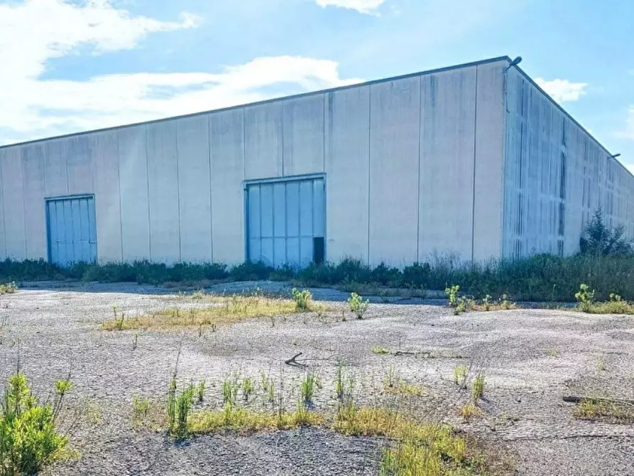 Immagine 5 di Capannone industriale in vendita  in Via Tarquinia, 01017 Tuscania VT, Italia a Tuscania