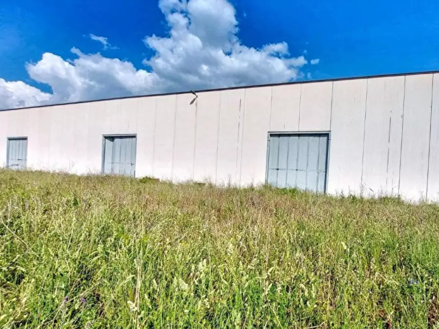 Immagine 8 di Capannone industriale in vendita  in Via Tarquinia, 01017 Tuscania VT, Italia a Tuscania