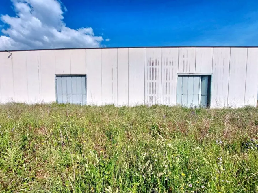 Immagine 10 di Capannone industriale in vendita  in Via Tarquinia, 01017 Tuscania VT, Italia a Tuscania