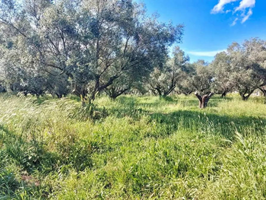 Immagine 20 di Capannone industriale in vendita  in Via Tarquinia, 01017 Tuscania VT, Italia a Tuscania