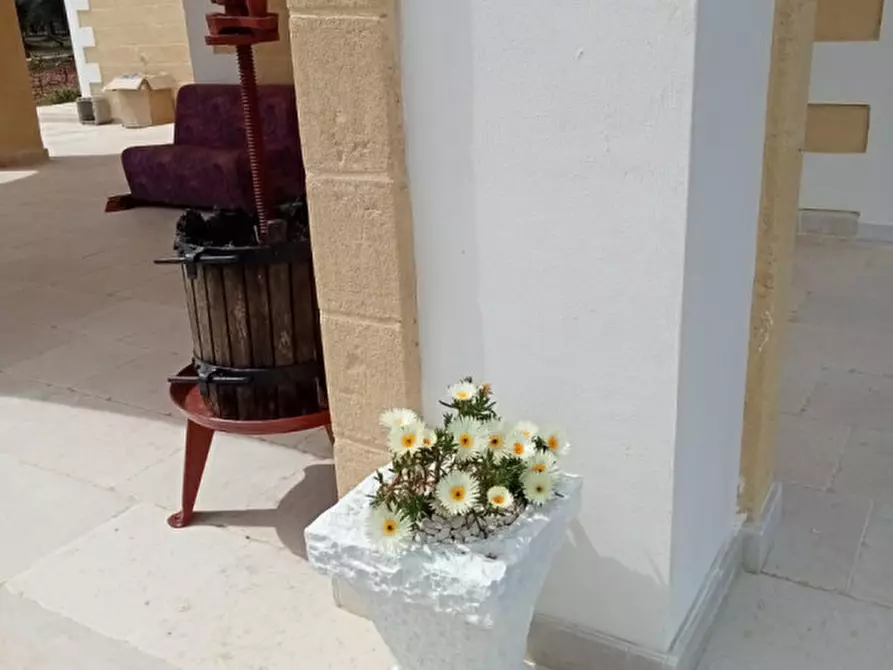 Immagine 48 di Villa in vendita  in C.da Deserto a Ostuni