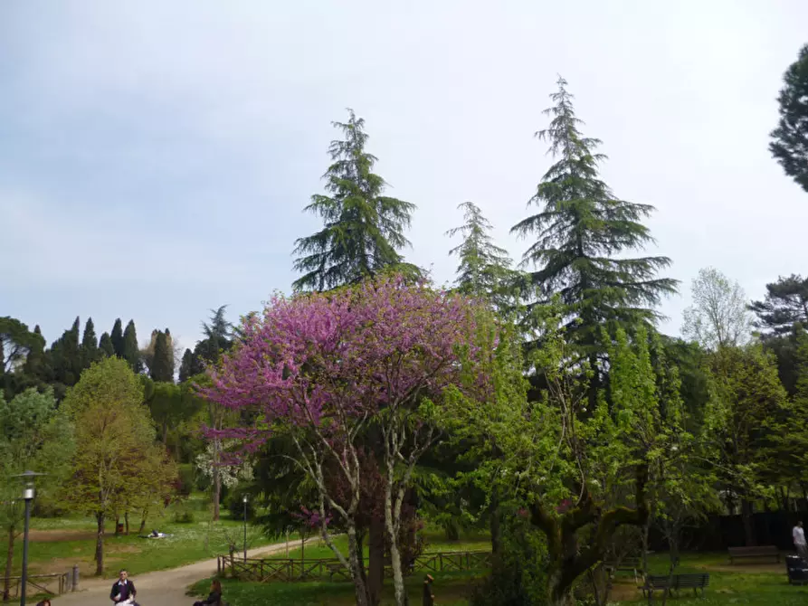 Immagine 28 di Appartamento in affitto  in VIA GINO CAPPONI a Firenze