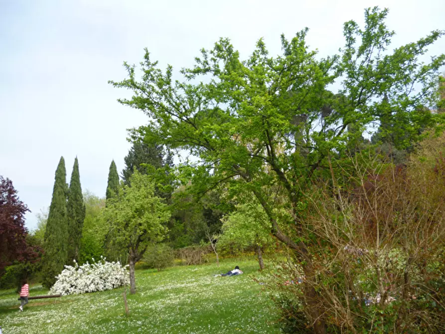 Immagine 29 di Appartamento in affitto  in VIA GINO CAPPONI a Firenze