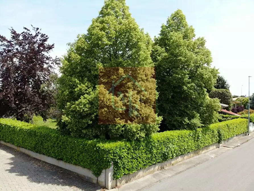 Immagine 16 di Terreno in vendita  in Via Aldo Moro a Ruda