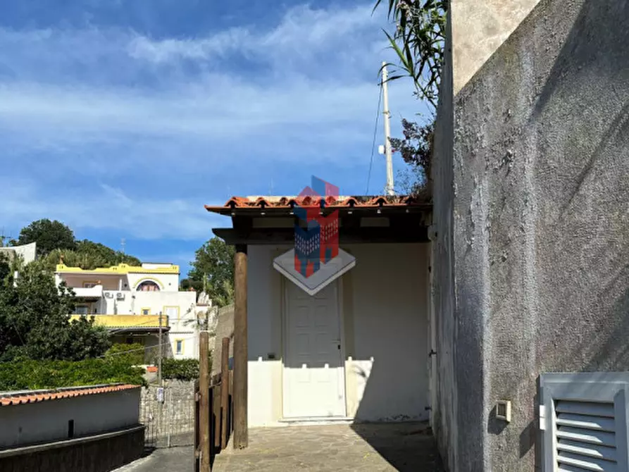 Immagine 6 di Appartamento in vendita  in ISCHIA - FORIO - frazione PANZA a Forio
