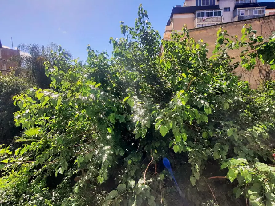 Immagine 18 di Appartamento in vendita  in Cortile Mazzerbo a Villabate