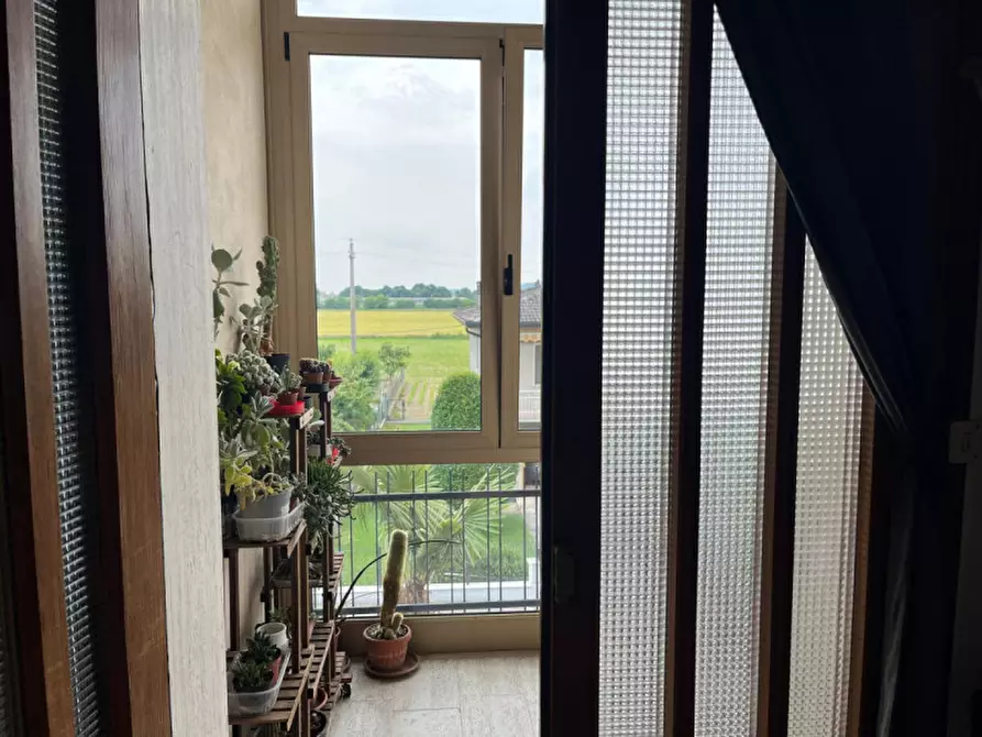 Immagine 19 di Casa bifamiliare in vendita  in Via Luigi Einaudi, 7 a Barbarano Mossano