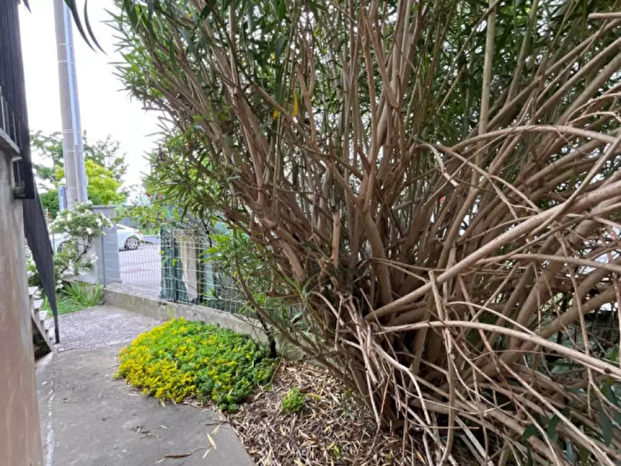 Immagine 26 di Casa bifamiliare in vendita  in Via Luigi Einaudi, 7 a Barbarano Mossano