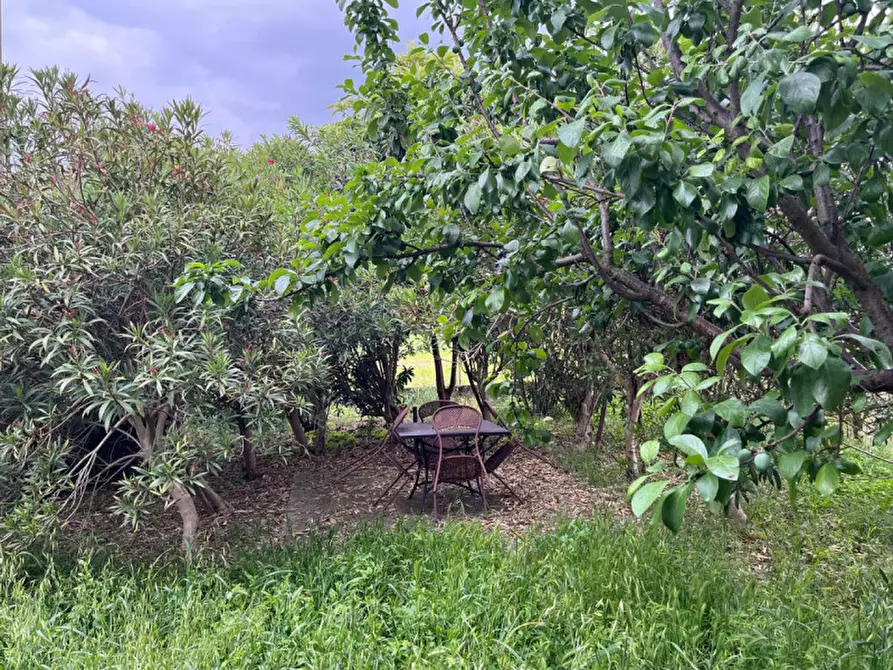 Immagine 29 di Casa bifamiliare in vendita  in Via Luigi Einaudi, 7 a Barbarano Mossano
