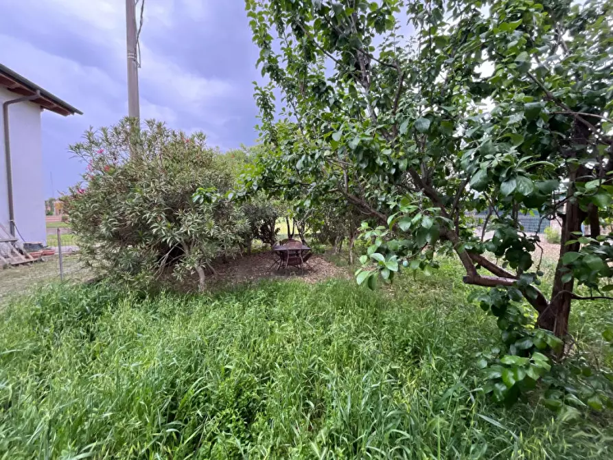 Immagine 30 di Casa bifamiliare in vendita  in Via Luigi Einaudi, 7 a Barbarano Mossano