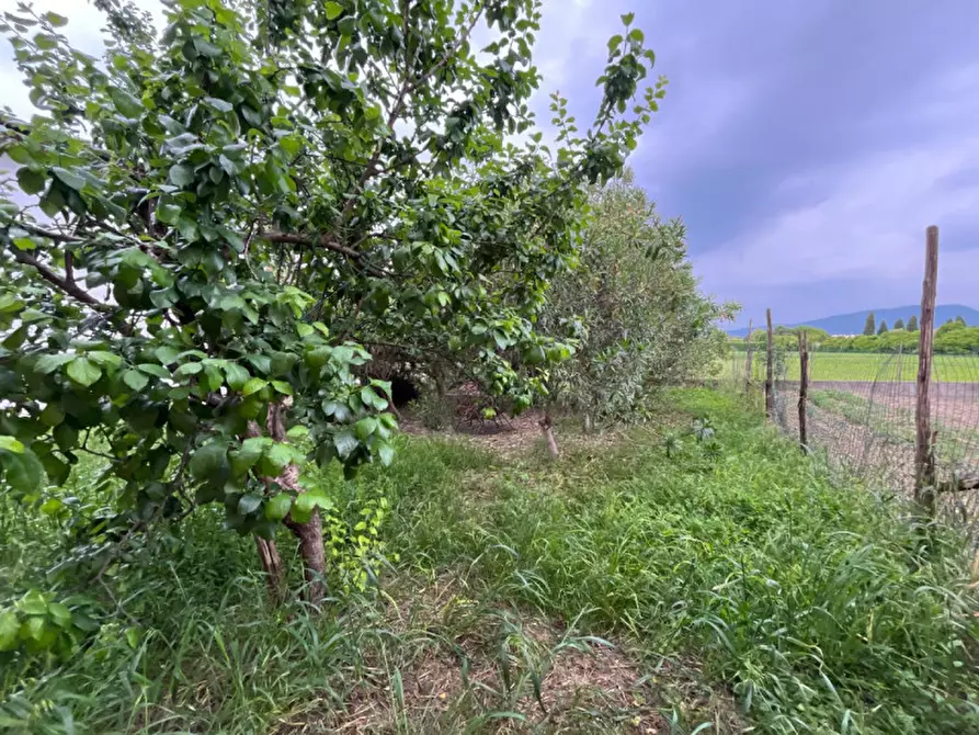 Immagine 31 di Casa bifamiliare in vendita  in Via Luigi Einaudi, 7 a Barbarano Mossano