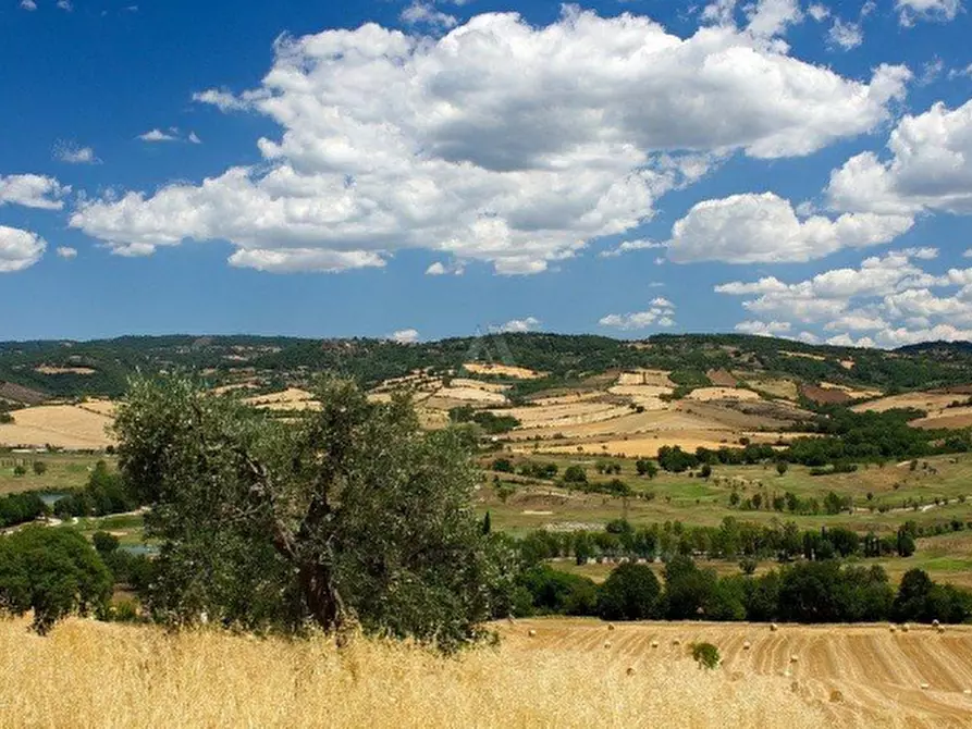 Immagine 1 di Casa indipendente in vendita  a Cinigiano