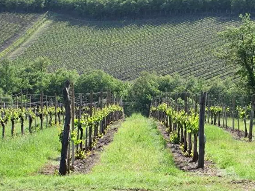 Immagine 2 di Casa indipendente in vendita  a Cinigiano