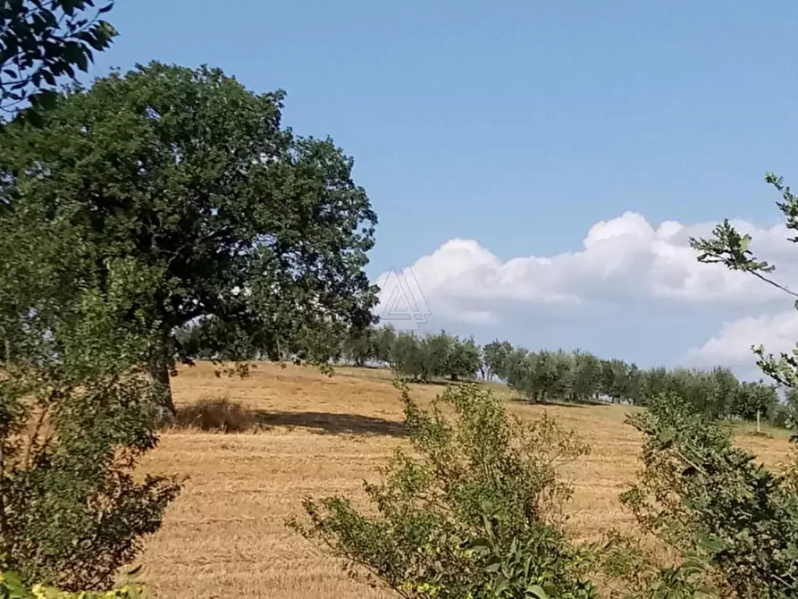 Immagine 4 di Casa indipendente in vendita  a Cinigiano