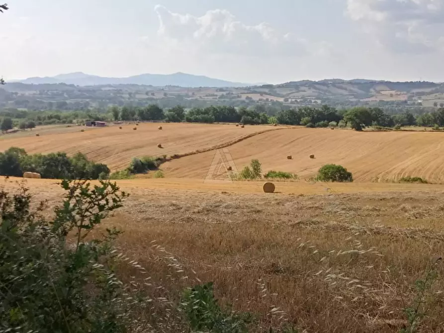 Immagine 8 di Casa indipendente in vendita  a Cinigiano
