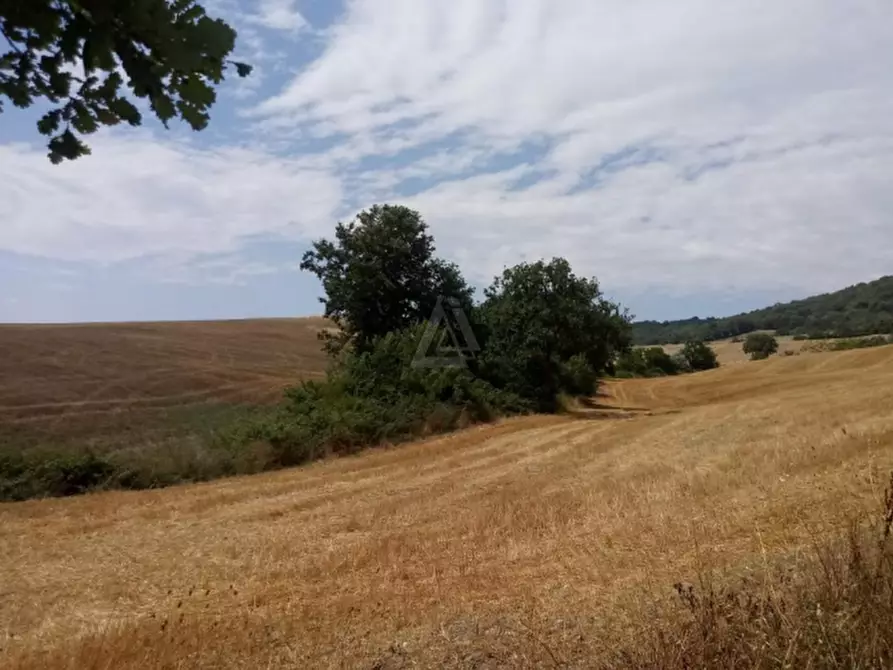Immagine 9 di Casa indipendente in vendita  a Cinigiano