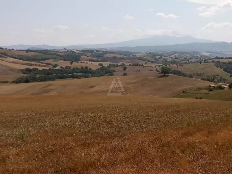 Immagine 10 di Casa indipendente in vendita  a Cinigiano