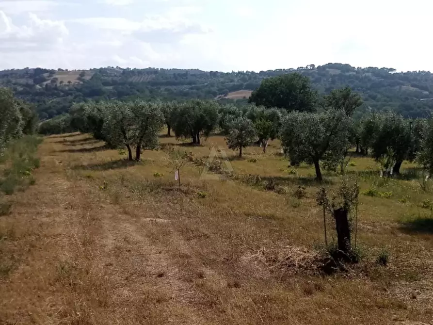 Immagine 11 di Casa indipendente in vendita  a Cinigiano