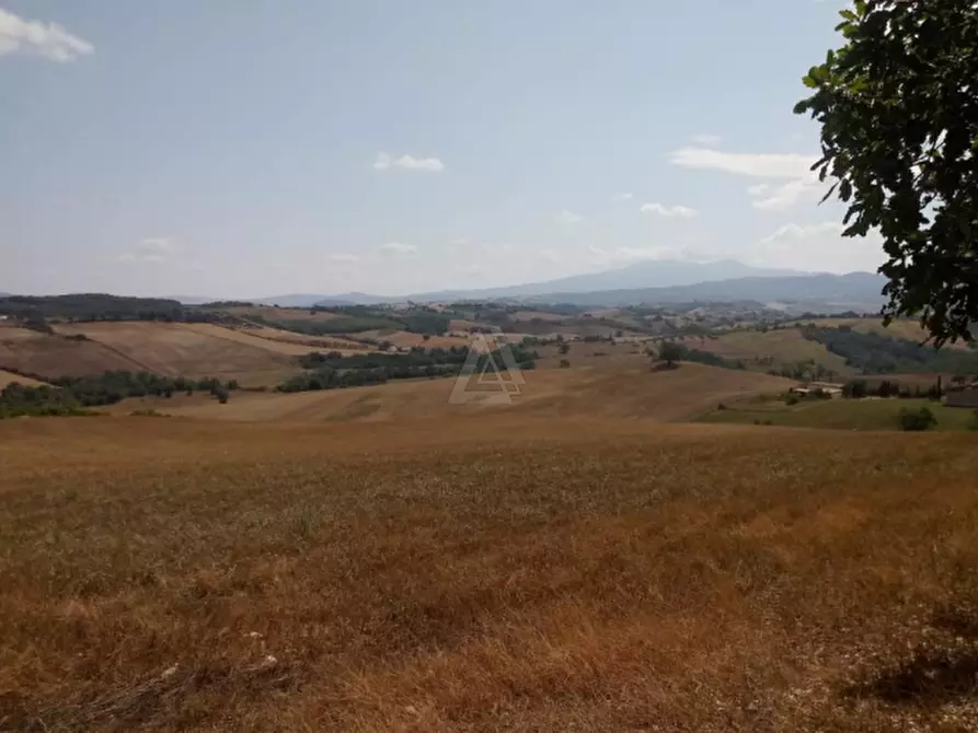 Immagine 12 di Casa indipendente in vendita  a Cinigiano