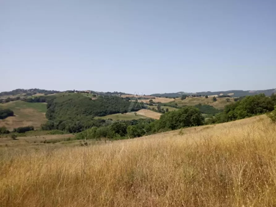 Immagine 13 di Casa indipendente in vendita  a Cinigiano
