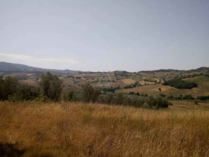 Immagine 14 di Casa indipendente in vendita  a Cinigiano