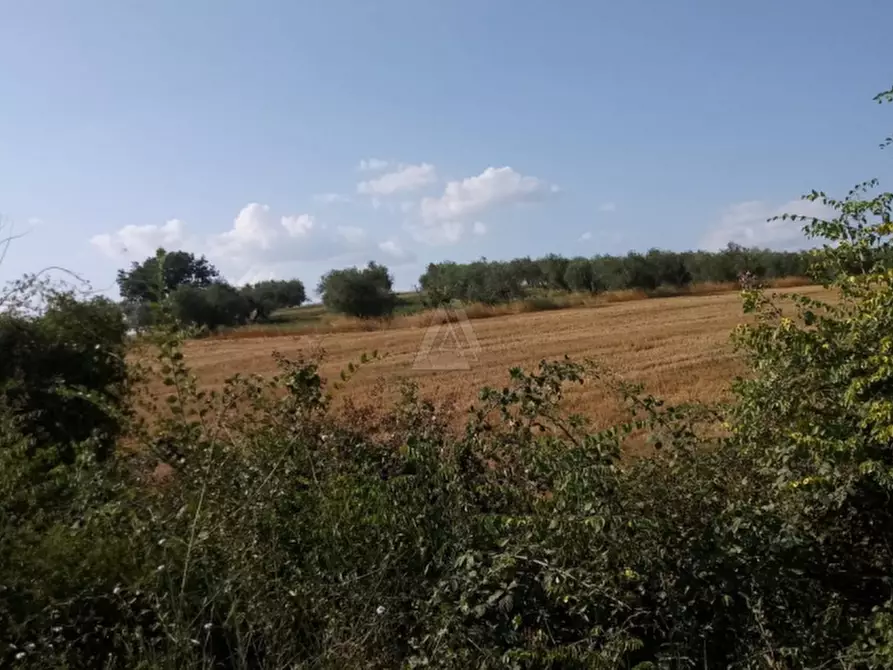 Immagine 15 di Casa indipendente in vendita  a Cinigiano