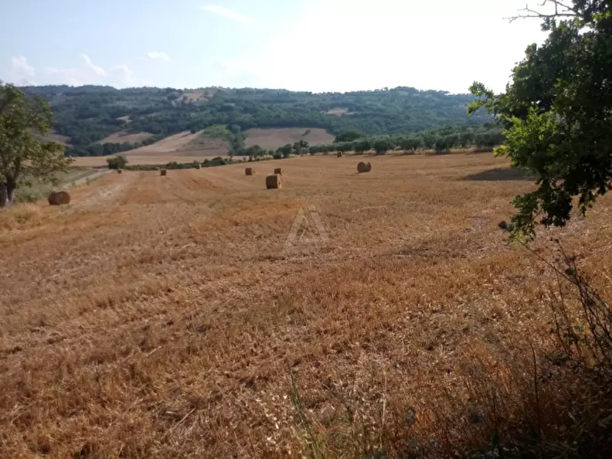 Immagine 17 di Casa indipendente in vendita  a Cinigiano