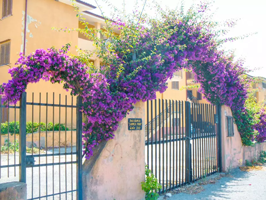 Immagine 8 di Appartamento in vendita  in via del mare 220 a Santa Maria Del Cedro