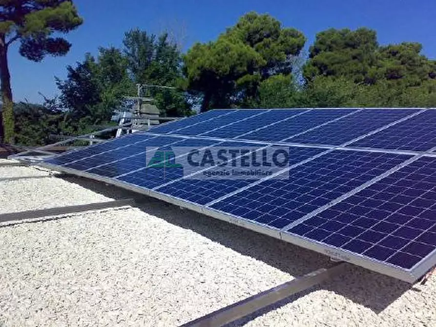 Immagine 11 di Appartamento in vendita  in Via Aurelia a Loreggia