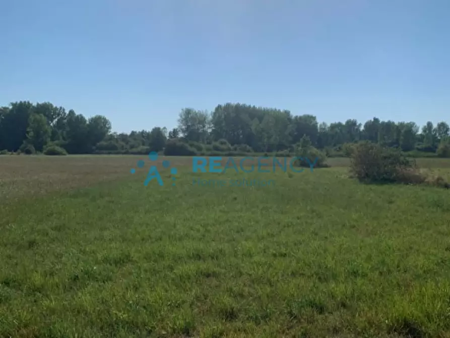 Immagine 1 di Terreno in vendita  in ss 434 verona-rovigo a Castagnaro