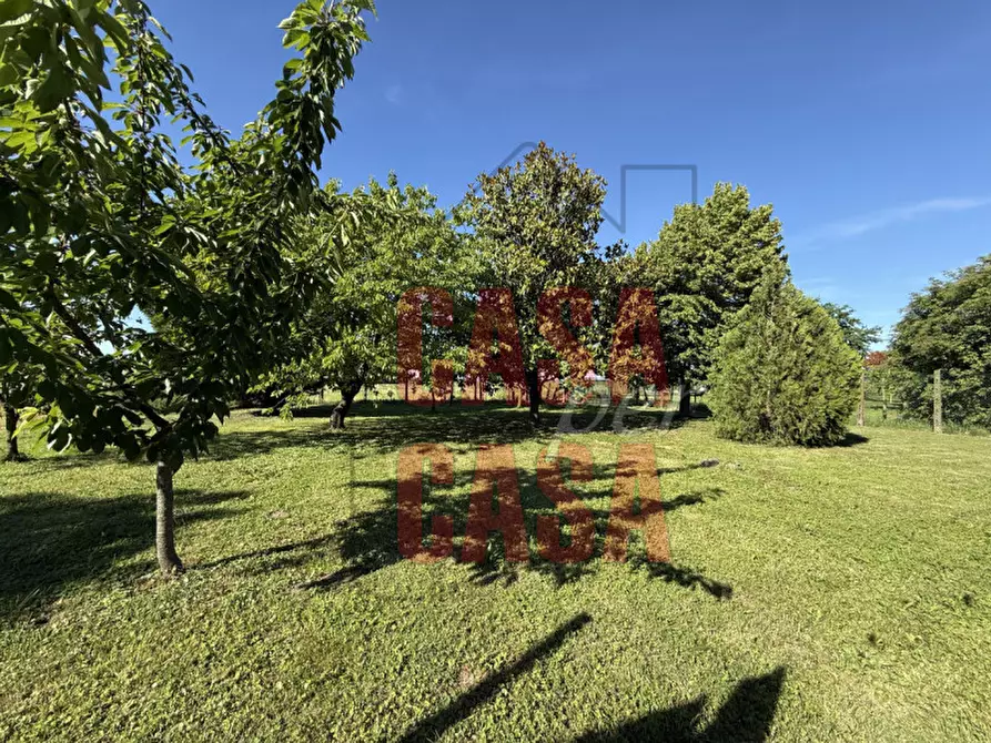 Immagine 27 di Casa indipendente in vendita  in Via Alessandro Manzoni a Badia Polesine