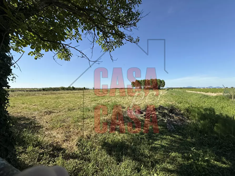 Immagine 28 di Casa indipendente in vendita  in Via Alessandro Manzoni a Badia Polesine