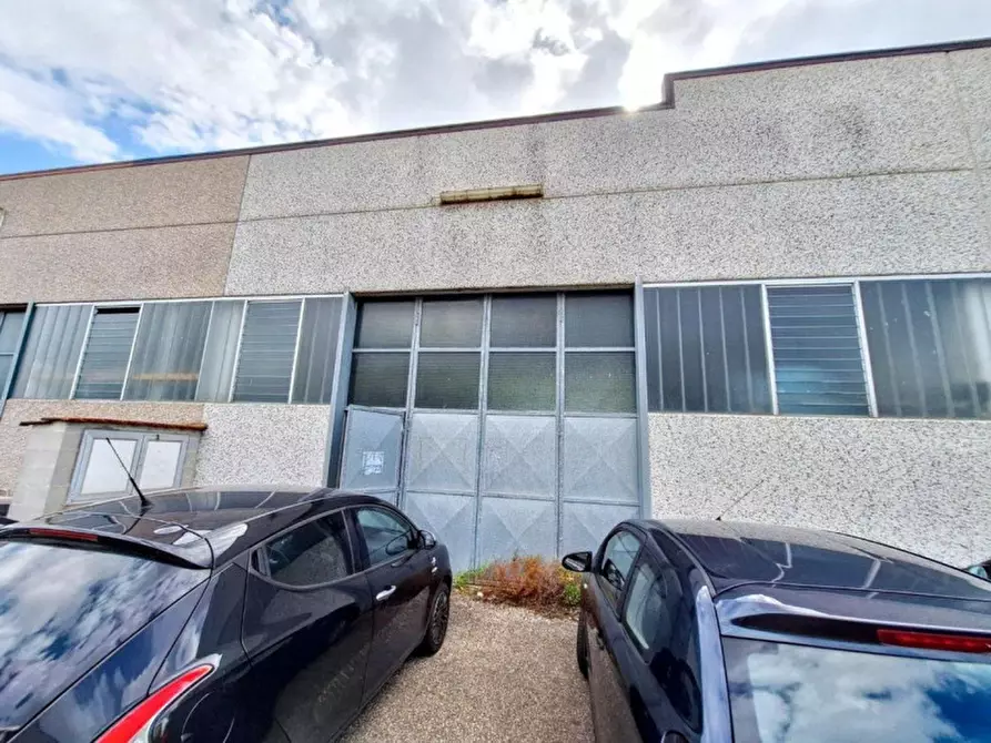 Immagine 1 di Capannone industriale in vendita  in Via Puccini, N. snc a Bientina