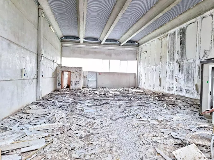 Immagine 3 di Capannone industriale in vendita  in Via Puccini, N. snc a Bientina