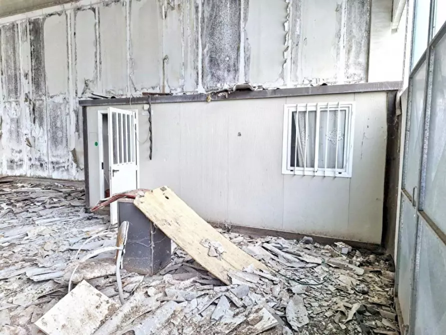 Immagine 4 di Capannone industriale in vendita  in Via Puccini, N. snc a Bientina