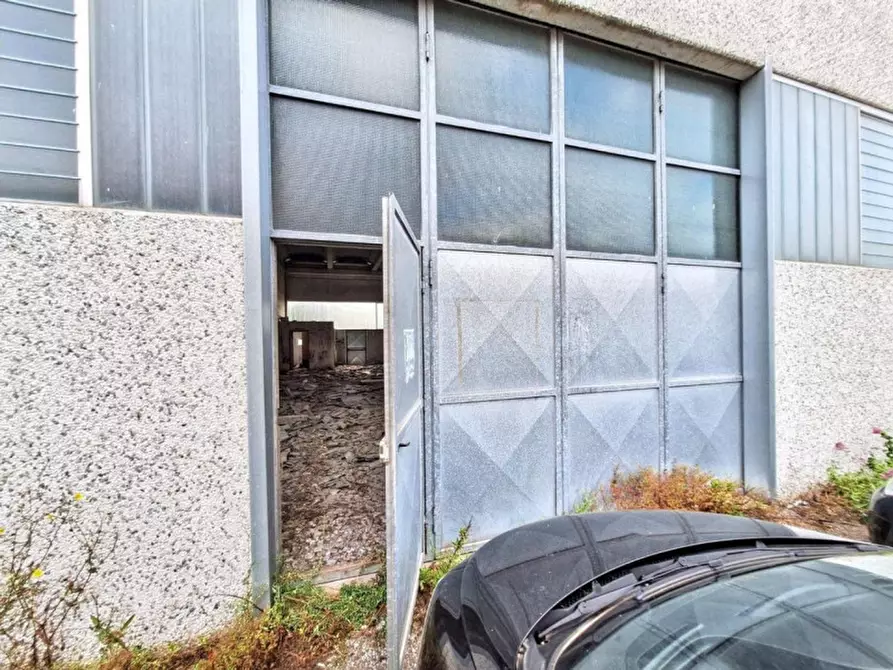 Immagine 6 di Capannone industriale in vendita  in Via Puccini, N. snc a Bientina