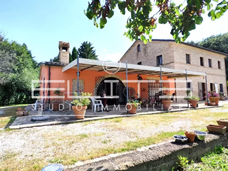 Immagine 3 di Appartamento in vendita  a Osimo